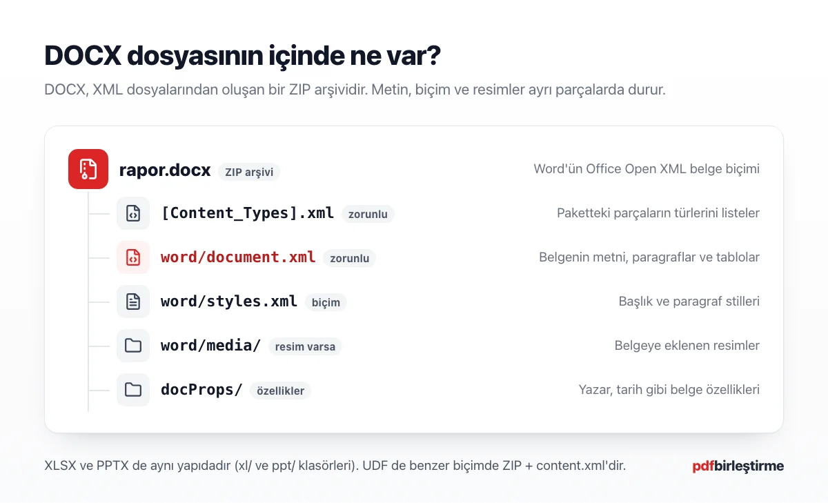 DOCX dosyasının içi: ZIP arşivinde document.xml, styles.xml ve media klasörü